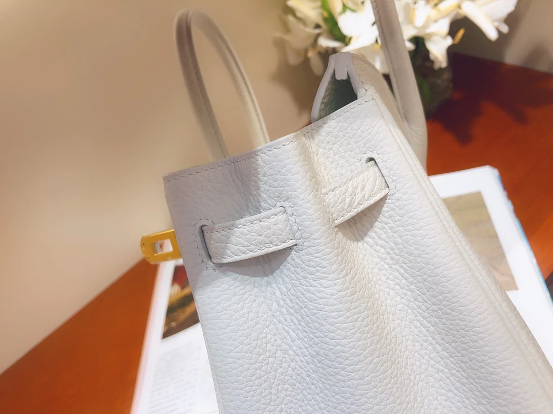 Hermes Birkin 25 Togo - Чисто-белый - Золотая фурнитура
