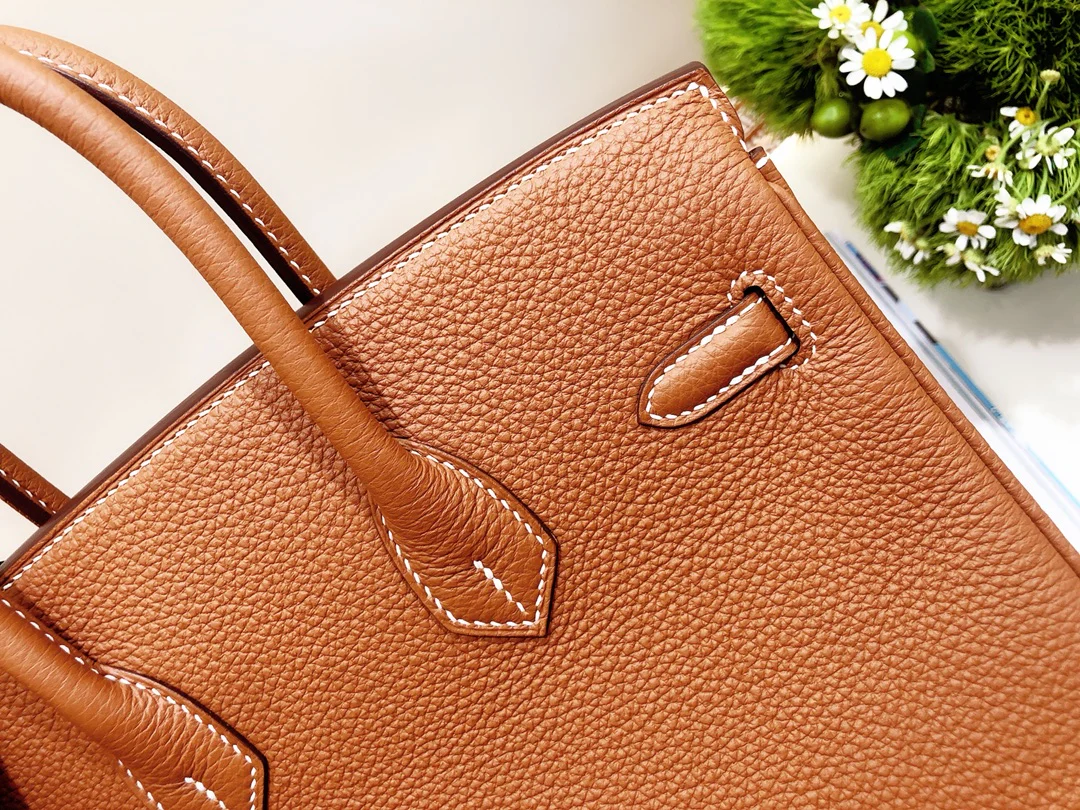 Hermes Birkin 25 Togo Gold Brown Silver Buckle