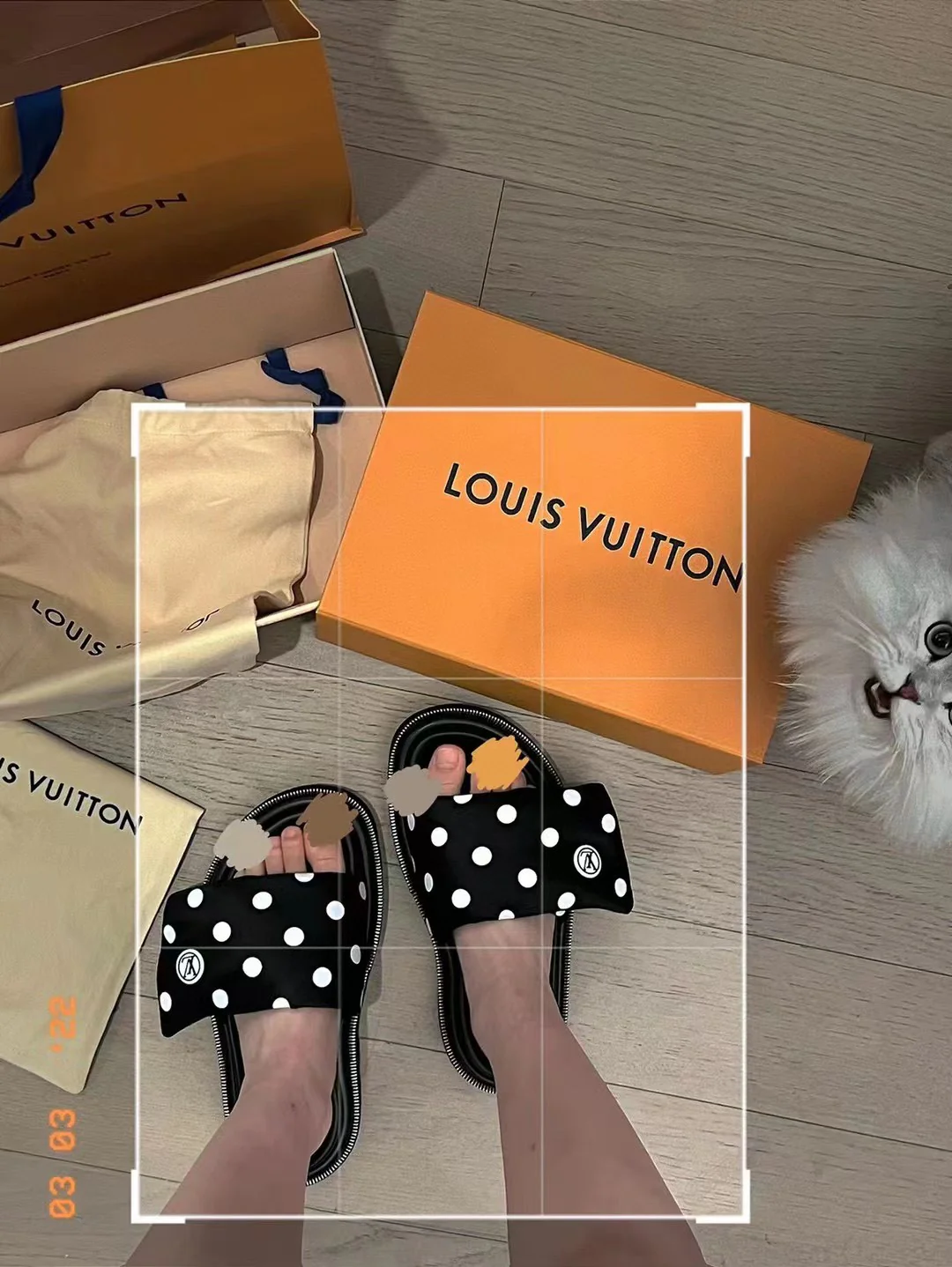 Тапочки LV в горошек