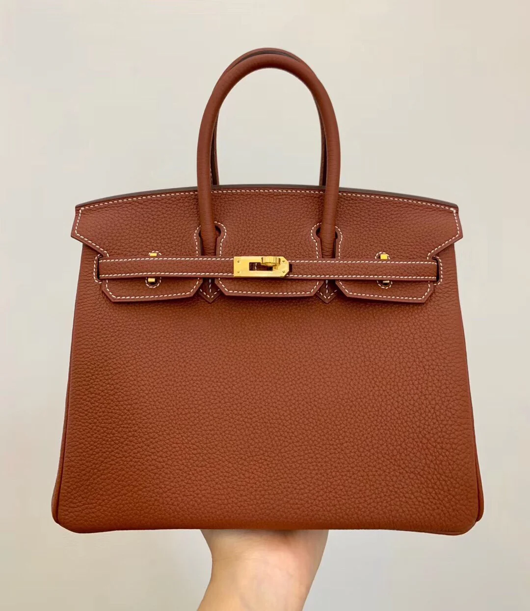 Hermes-birkin-25-e4-Maple Leaf Palm-Gold Buckle