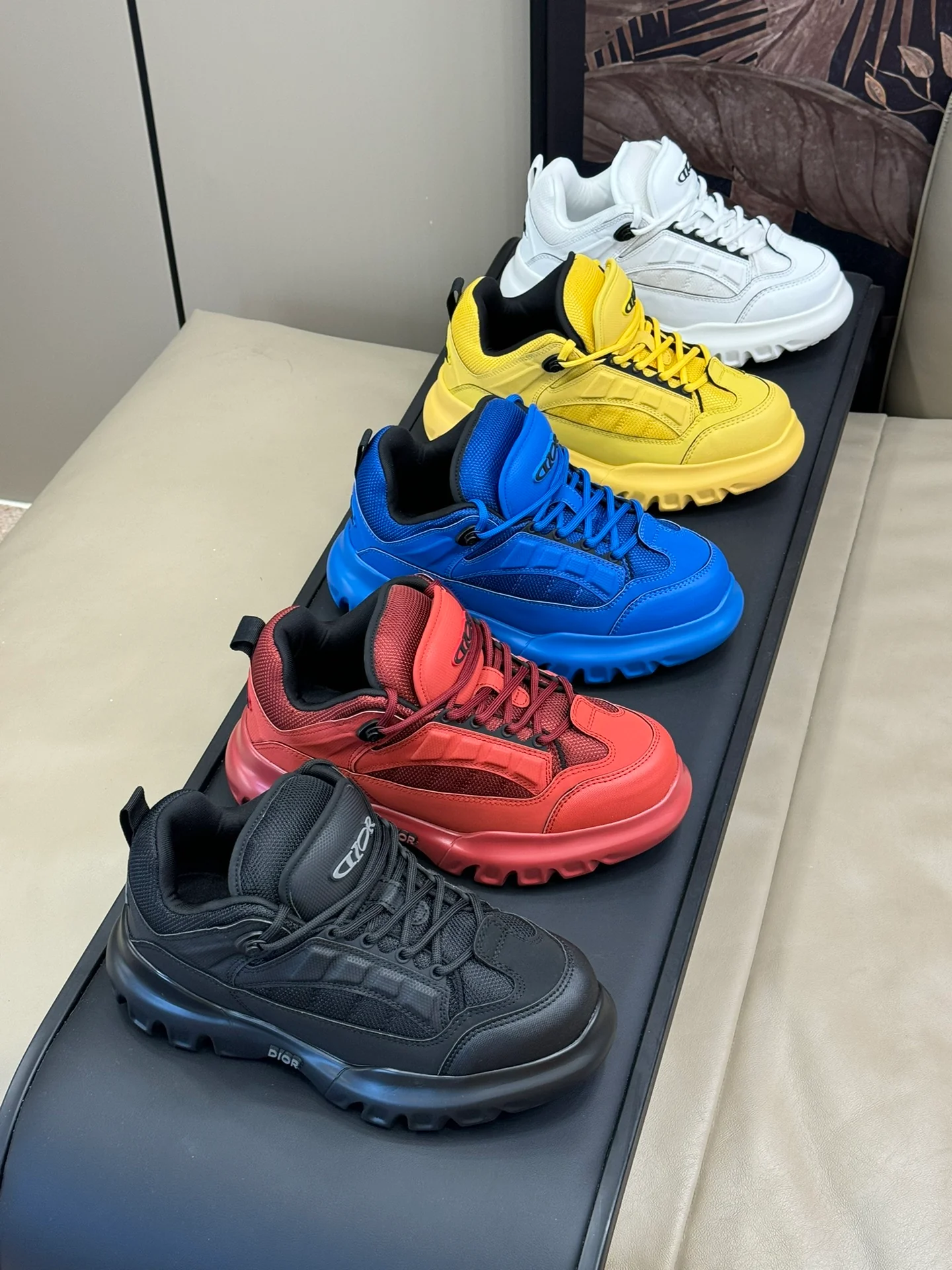 Изображение 3 коллекции кроссовок Dior 2024 года.