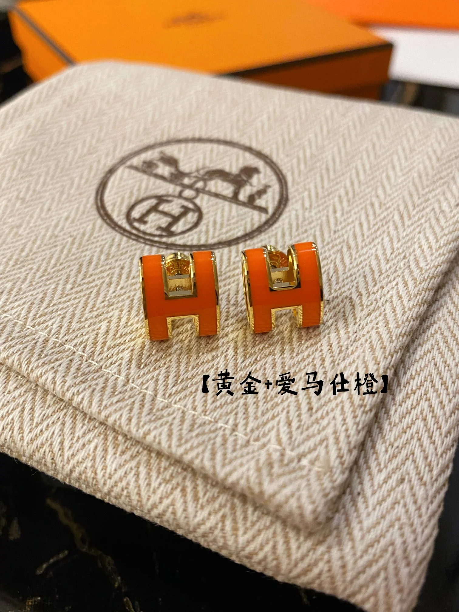 Серьги Hermes 030