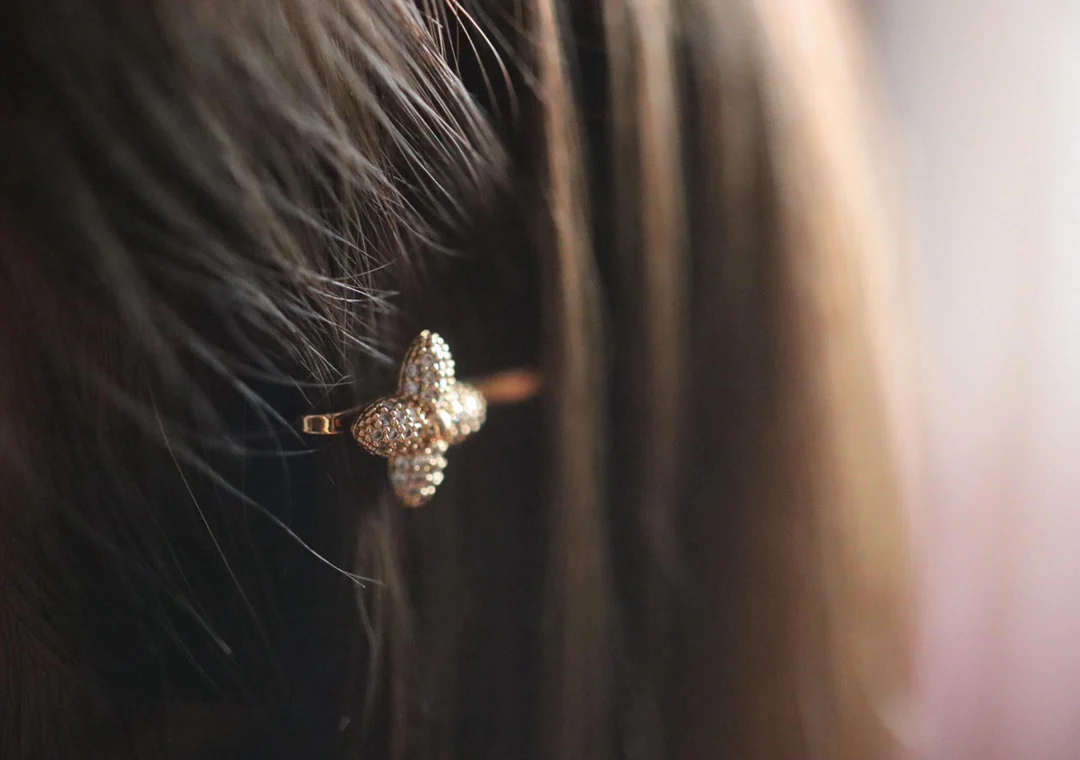 Заколка для волос LV-Hair Clip 001
