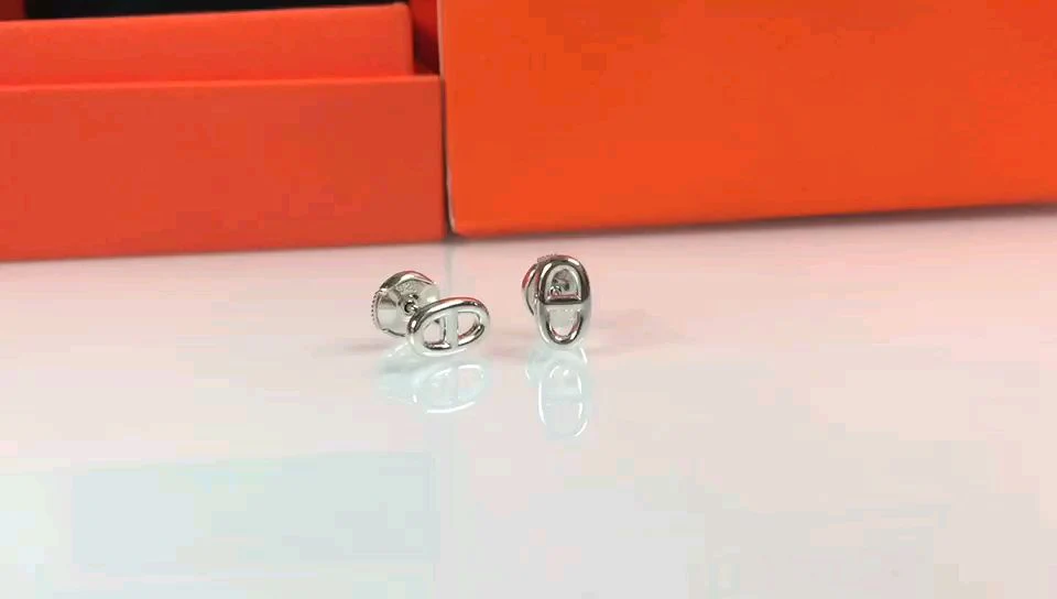 Серьги Hermes 027
