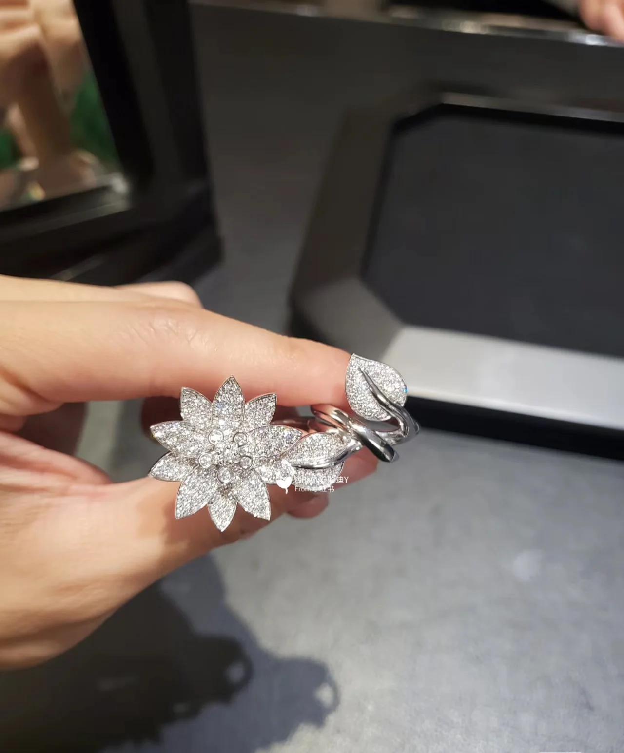 Ван Век - Кольцо 063