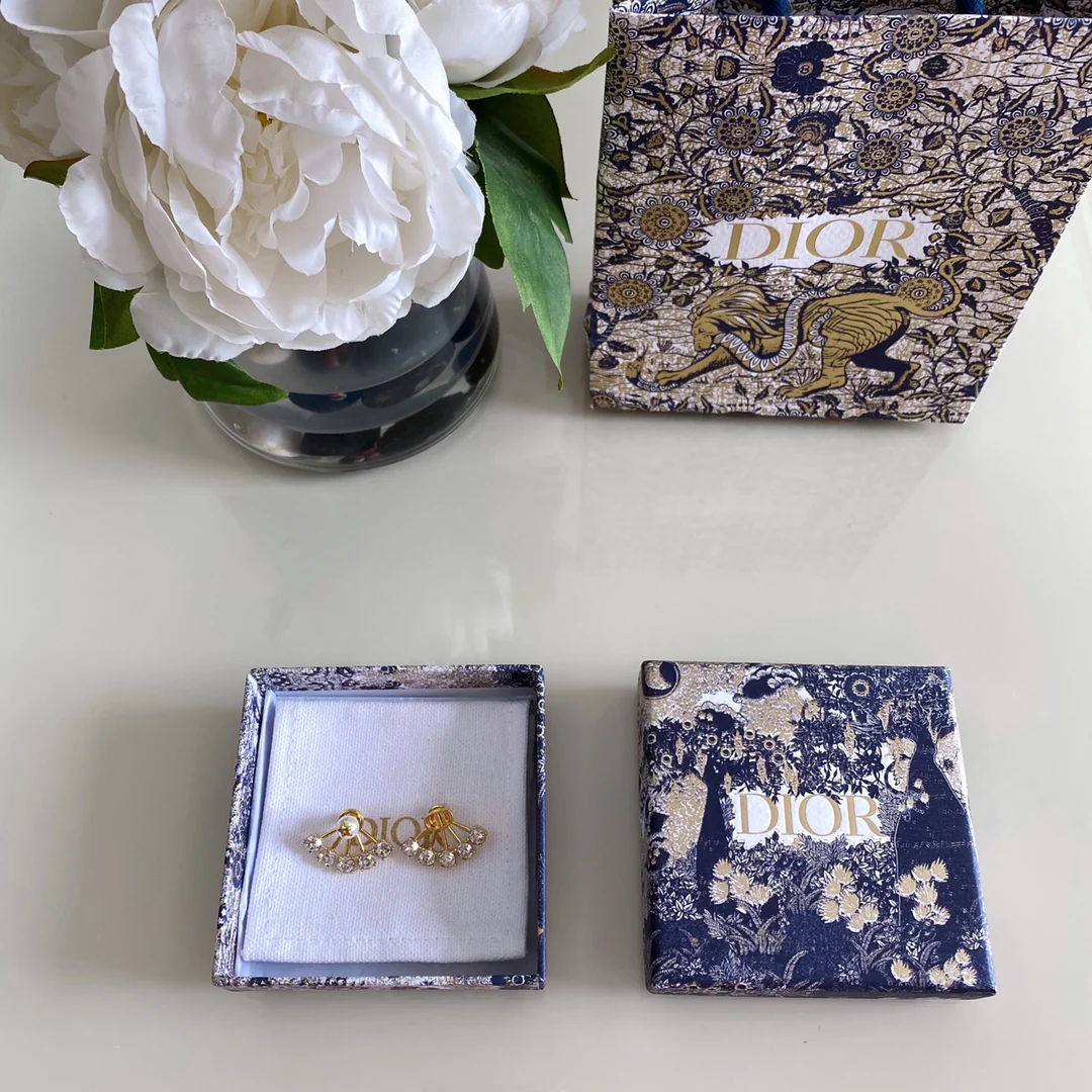 Серьги Dior - 56