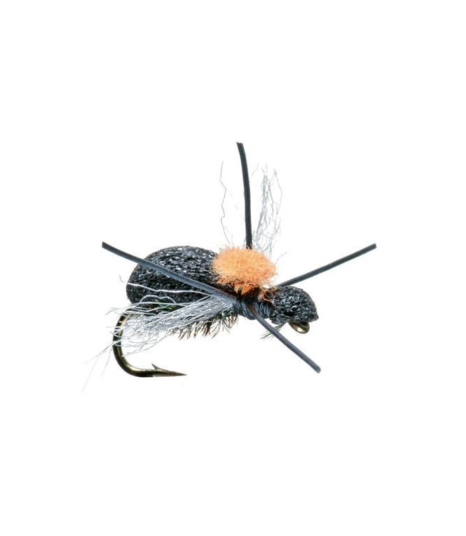 Fat Head Beetle, 2-Pack