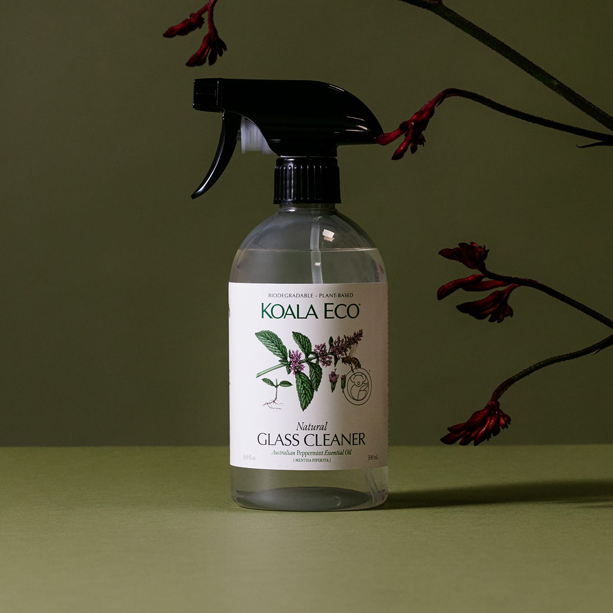 Koala Eco - Peppermint Glass Cleaner - 500ml