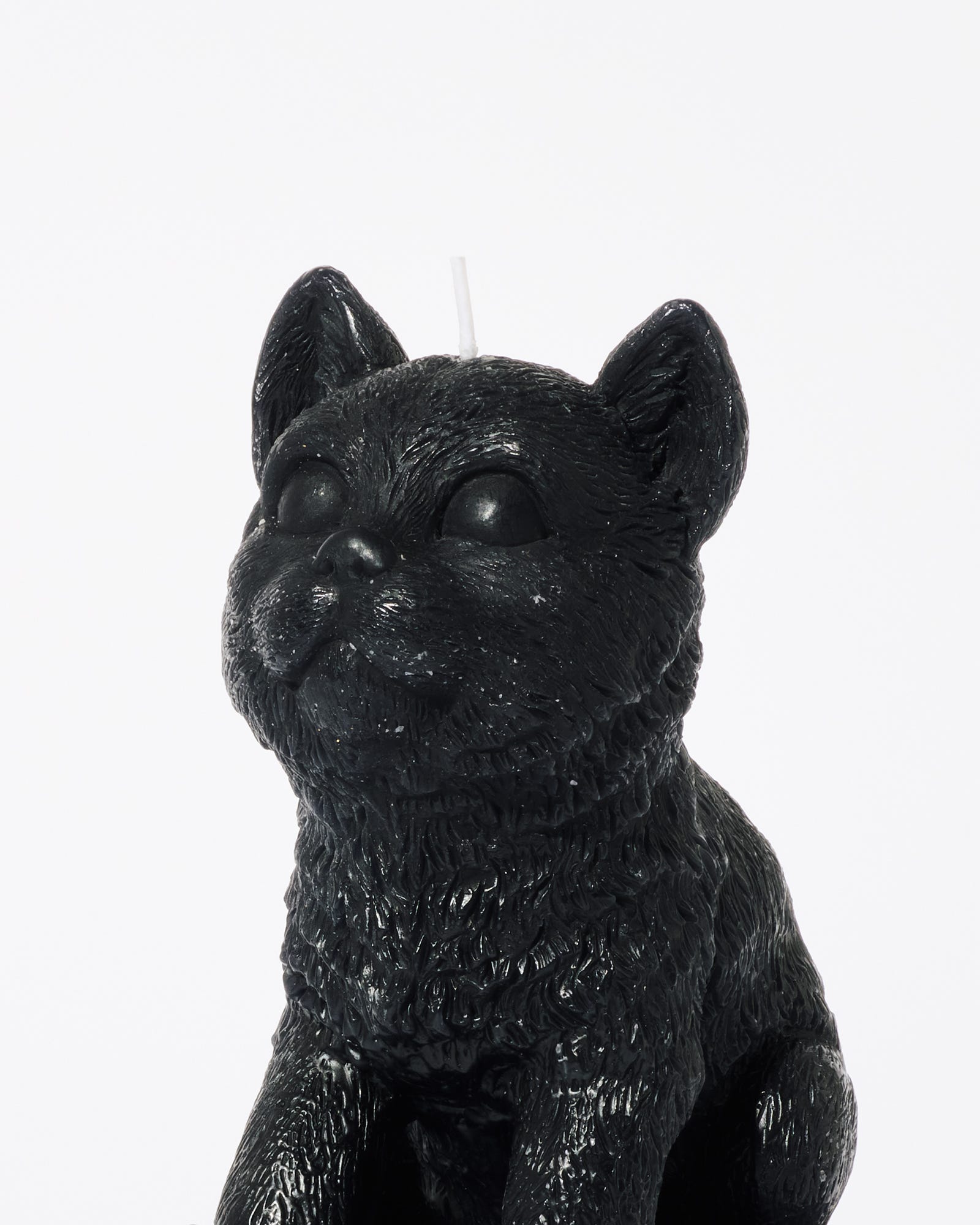 Midnight Cat Unscented Candle 410g