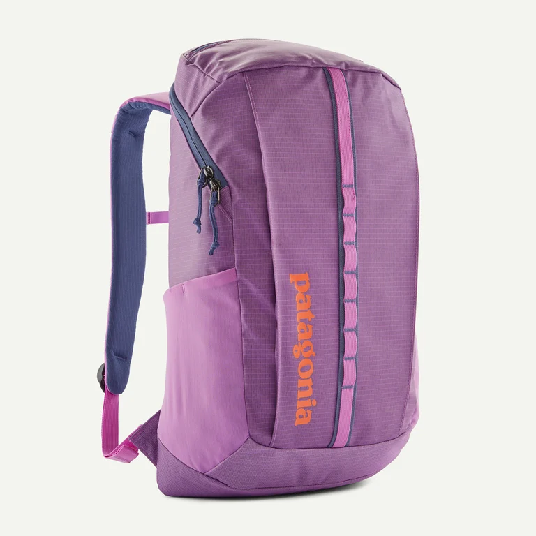 Patagonia Black Hole&reg; Pack 25L