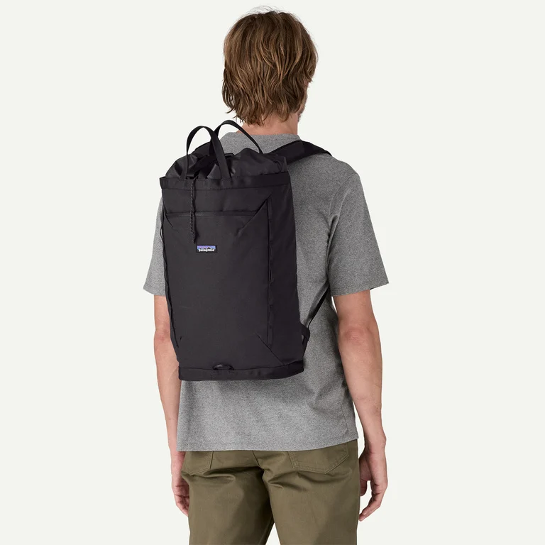 Patagonia Fieldsmith Linked Backpack 24L