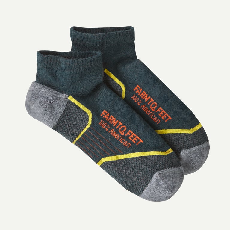 Farm to Feet&reg; Damascus Light Targeted Cushion Low Socks