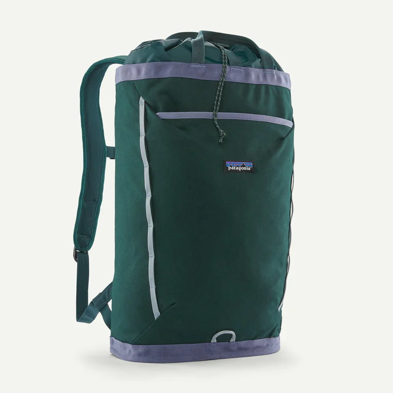 Patagonia Fieldsmith Linked Backpack 24L
