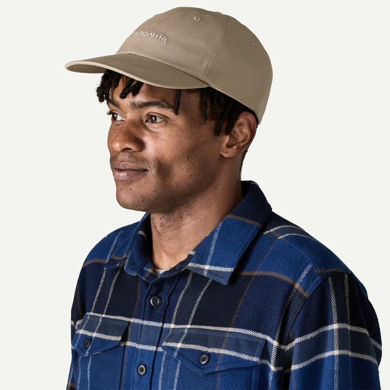 Patagonia Fitz Roy Icon Trad Cap