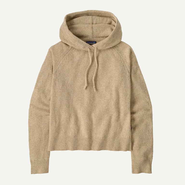 Patagonia Women's Recycled Wool-Blend Hooded Pullover Sweater