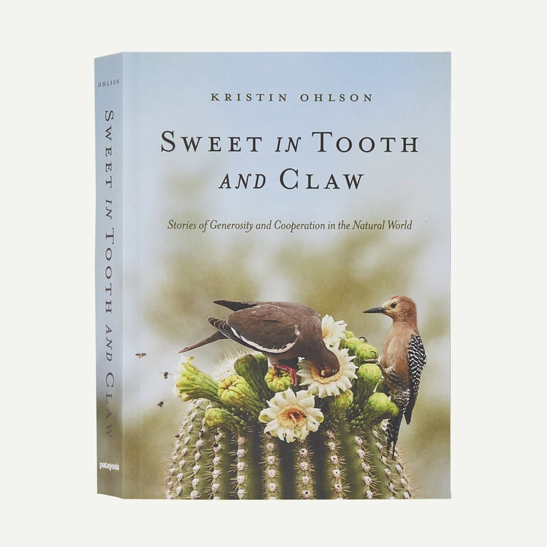 Sweet in Tooth and Claw: Stories of Generosity and Cooperation in the Natural World (Paperback Book)
