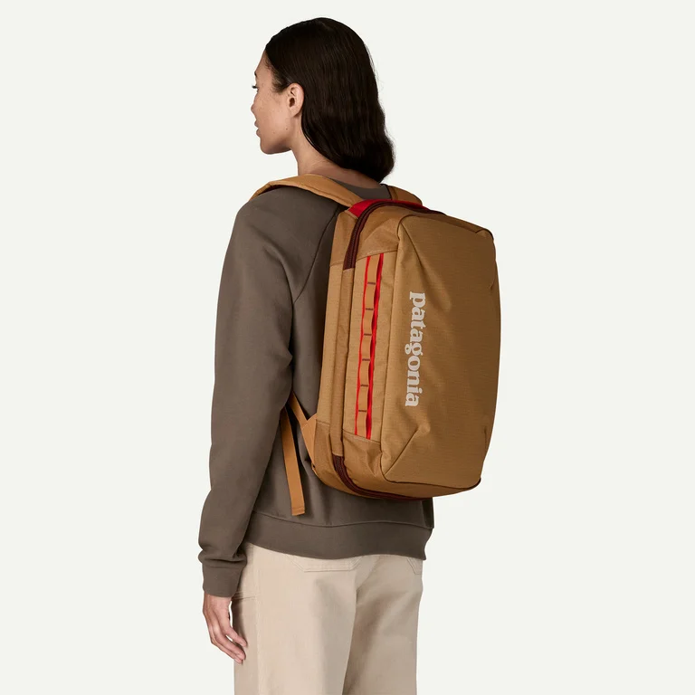 Patagonia Black Hole&reg; Micro MLC&reg; Carry-On Backpack 22L