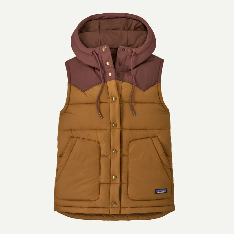 Patagonia Women's Bivy Hooded Down Vest