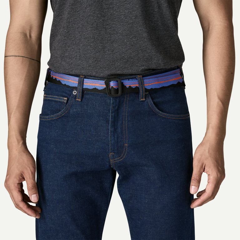 Patagonia Friction Web Belt