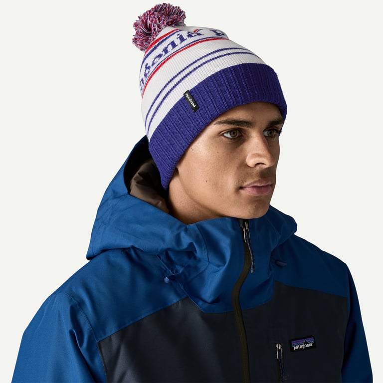 Patagonia Powder Town Ski Beanie