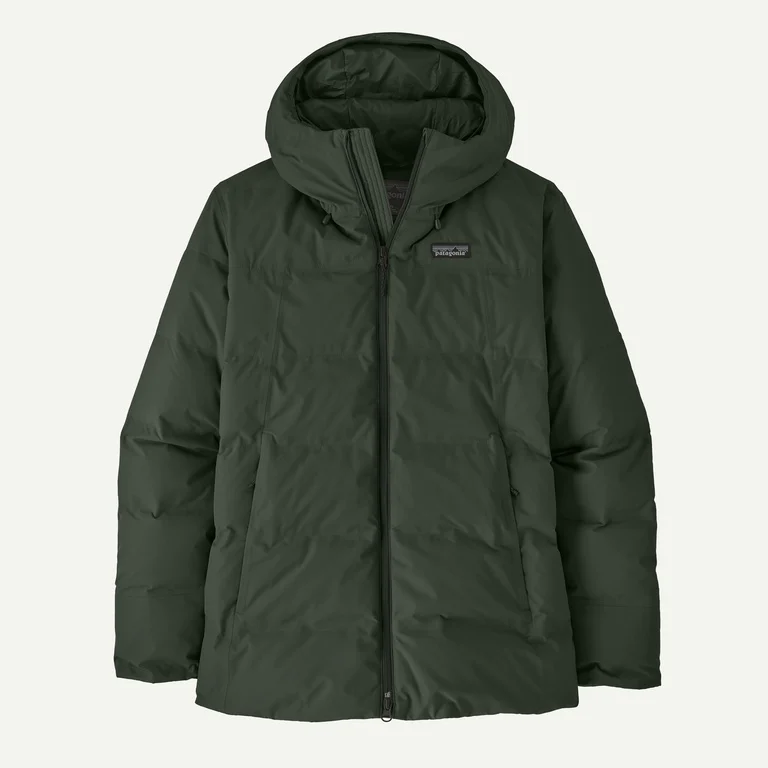 Patagonia Women's Jackson Glacier Waterproof Down Jacket
