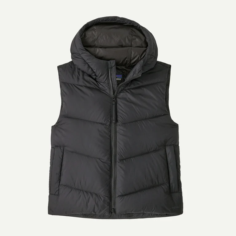Patagonia Women's Sindit Insulated Vest