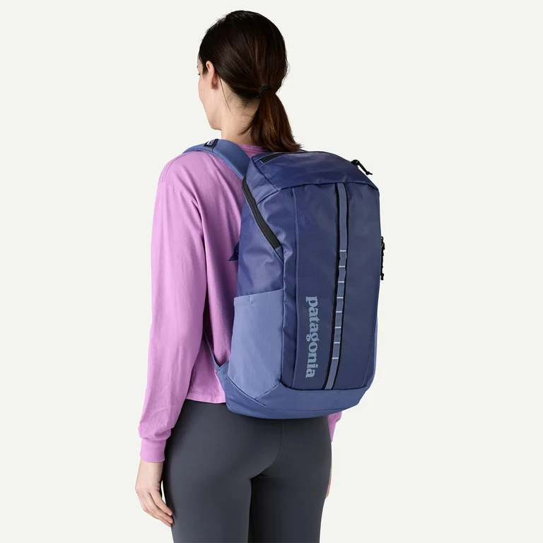Patagonia Black Hole&reg; Pack 25L