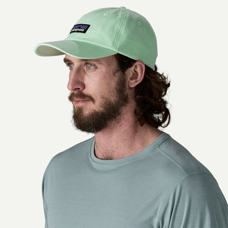 Patagonia P-6 Label Trad Cap