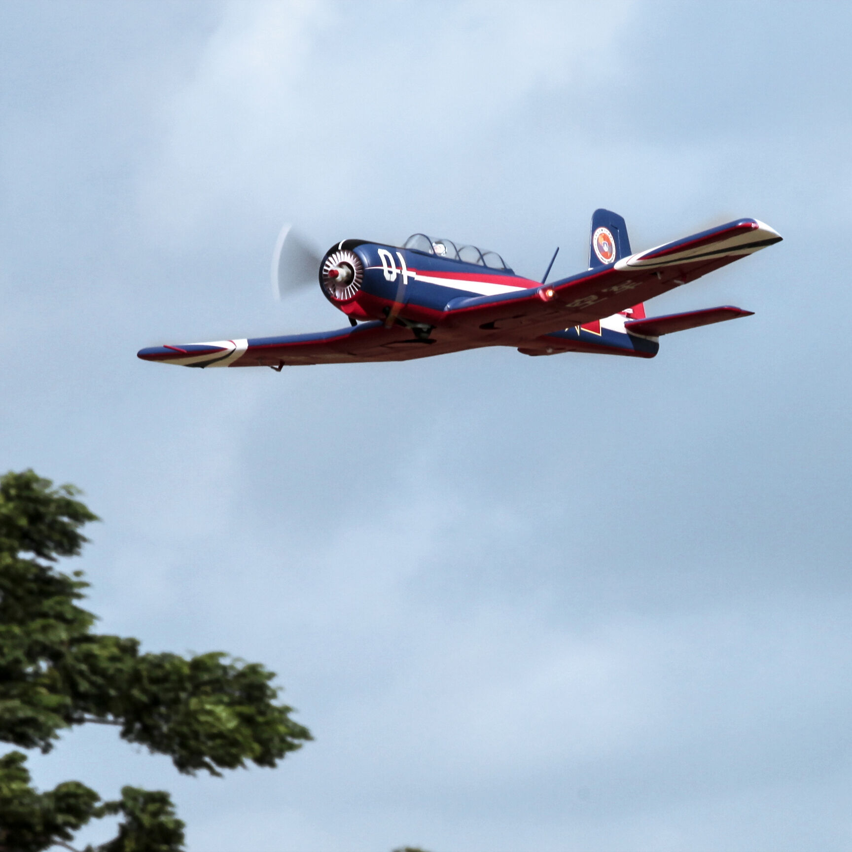 FMS CJ6 V2 1200mm PNP