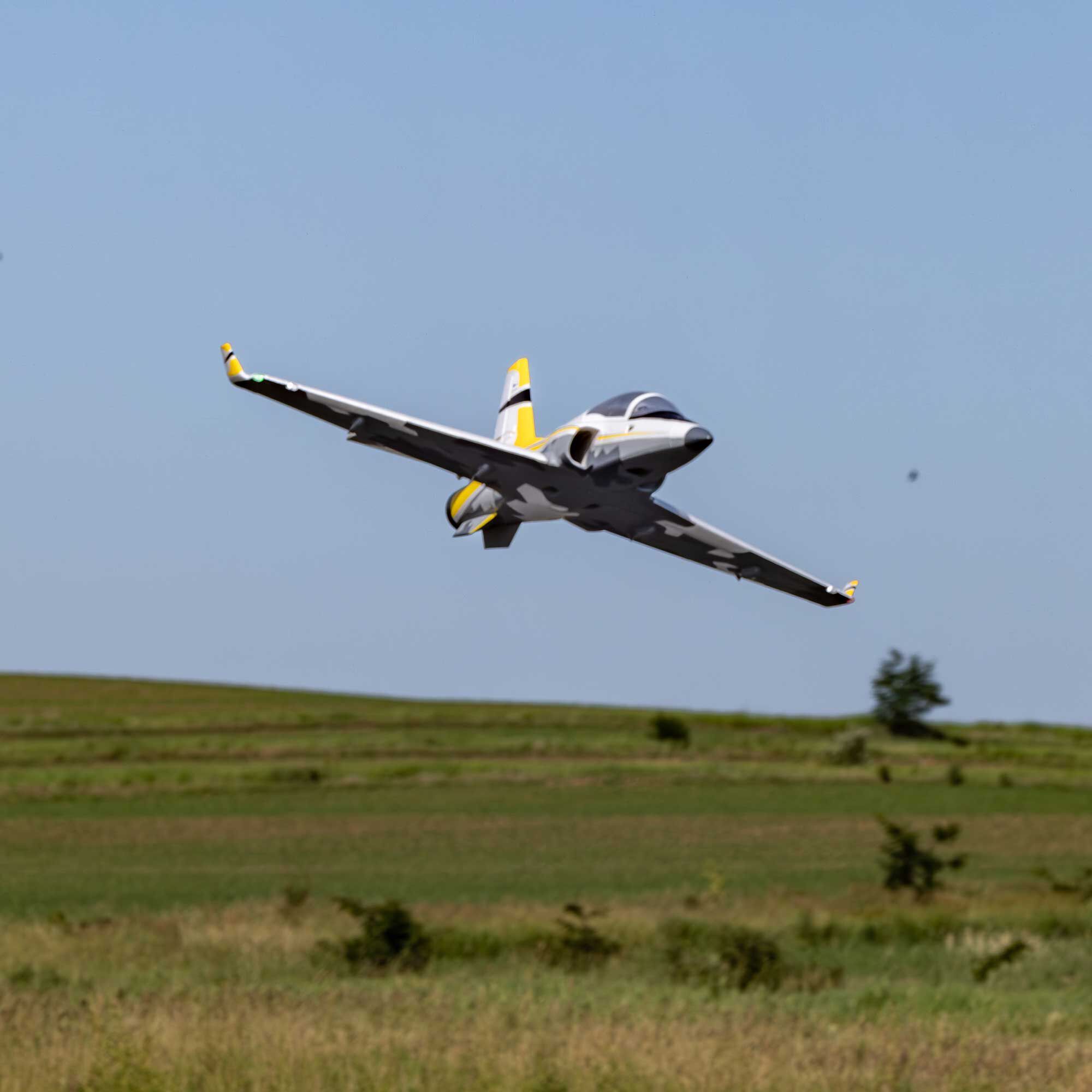 E-flite Viper 64mm EDF Jet BNF Basic with AS3X+ and SAFE Select