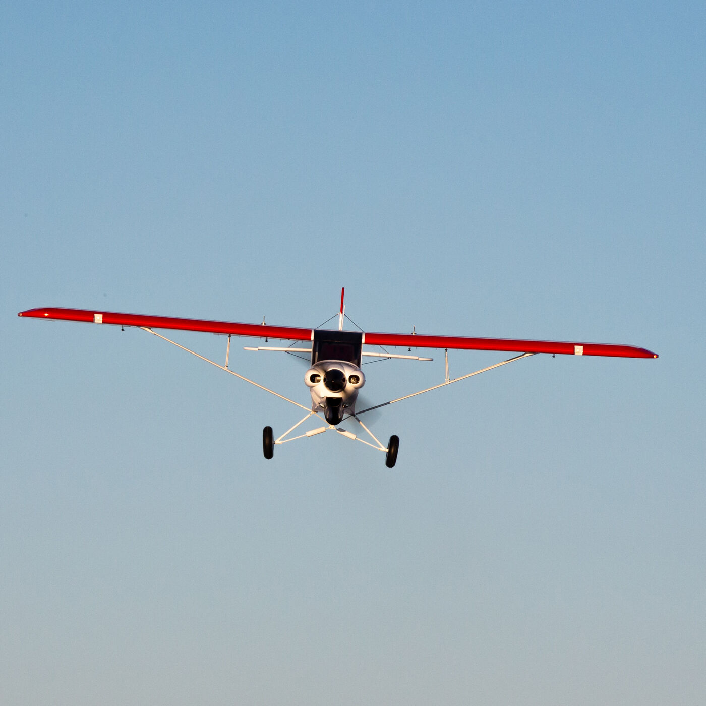 Hangar 9 CubCrafters Carbon Cub FX-3 100-200cc ARF, 165"