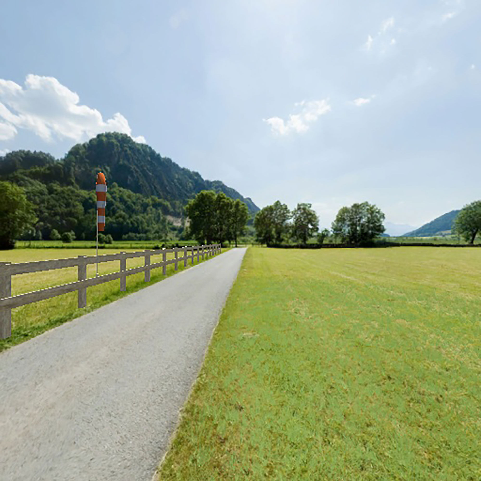 RealFlight RealFlight Trainer Edition RC Flight Simulator with WS2000 Wireless Simulator USB Dongle