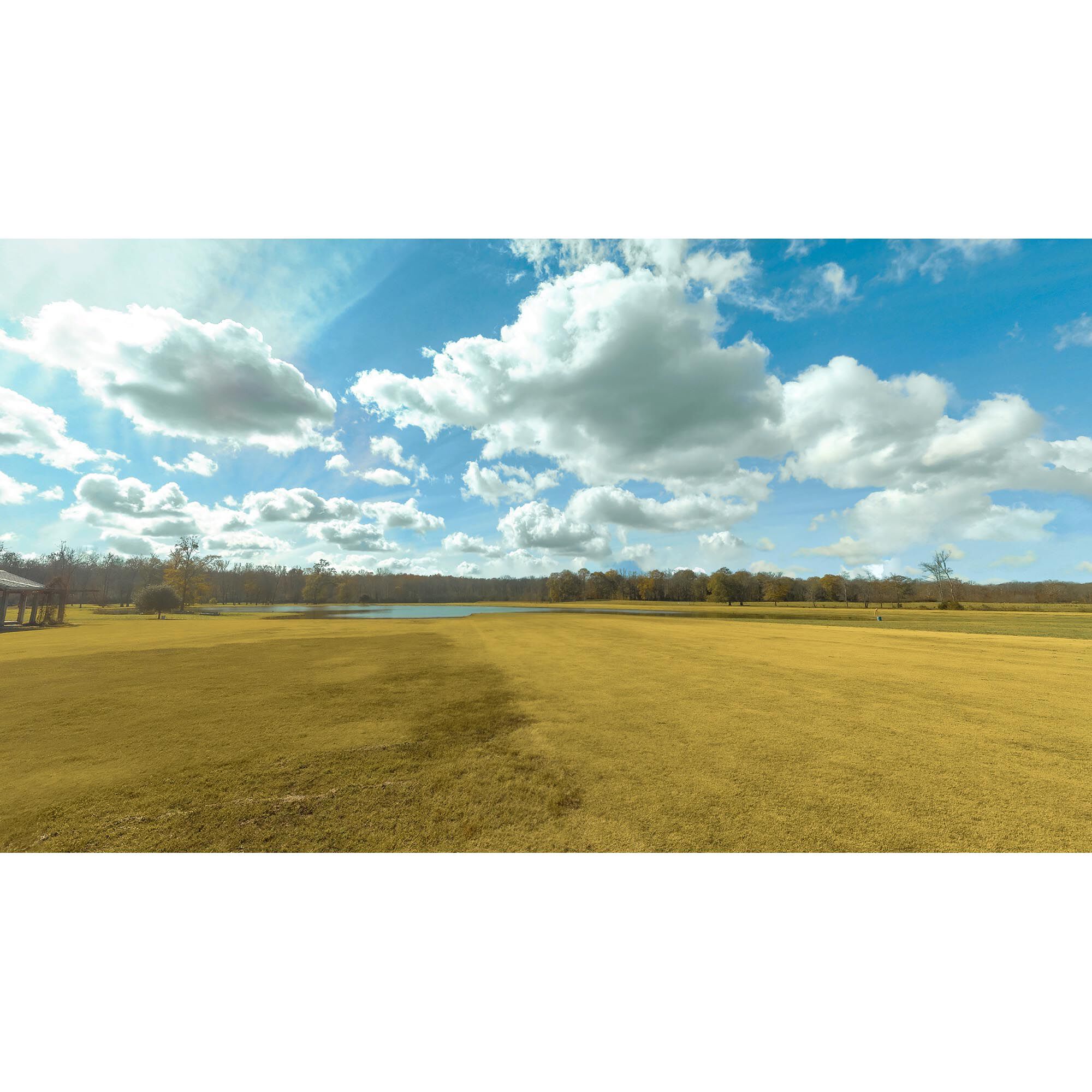 RealFlight RealFlight Evolution 2023 Quarterly Content Pack 4