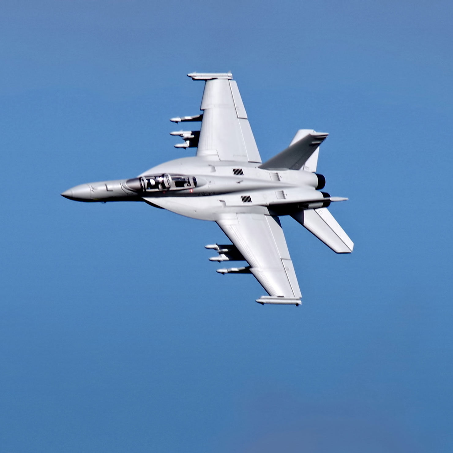 FMS F-18F 70mm EDF Jet V2 PNP