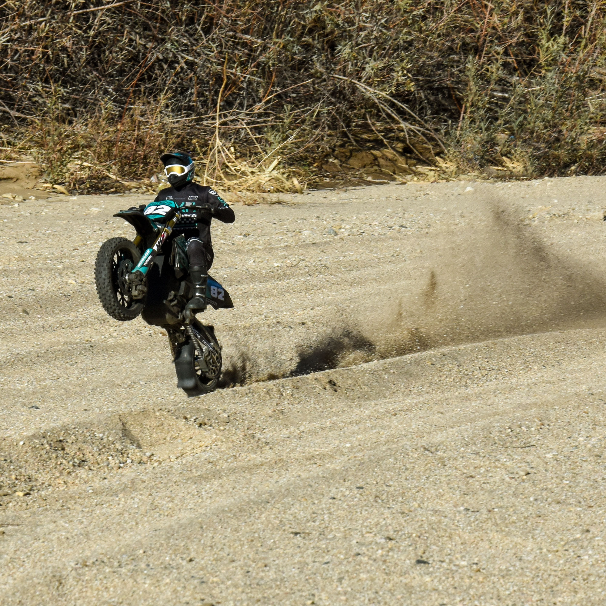 Pro-Line Racing 1/4 Roost MX Sand/Snow Paddle Rear Tire MTD Black (1): PROMOTO-MX