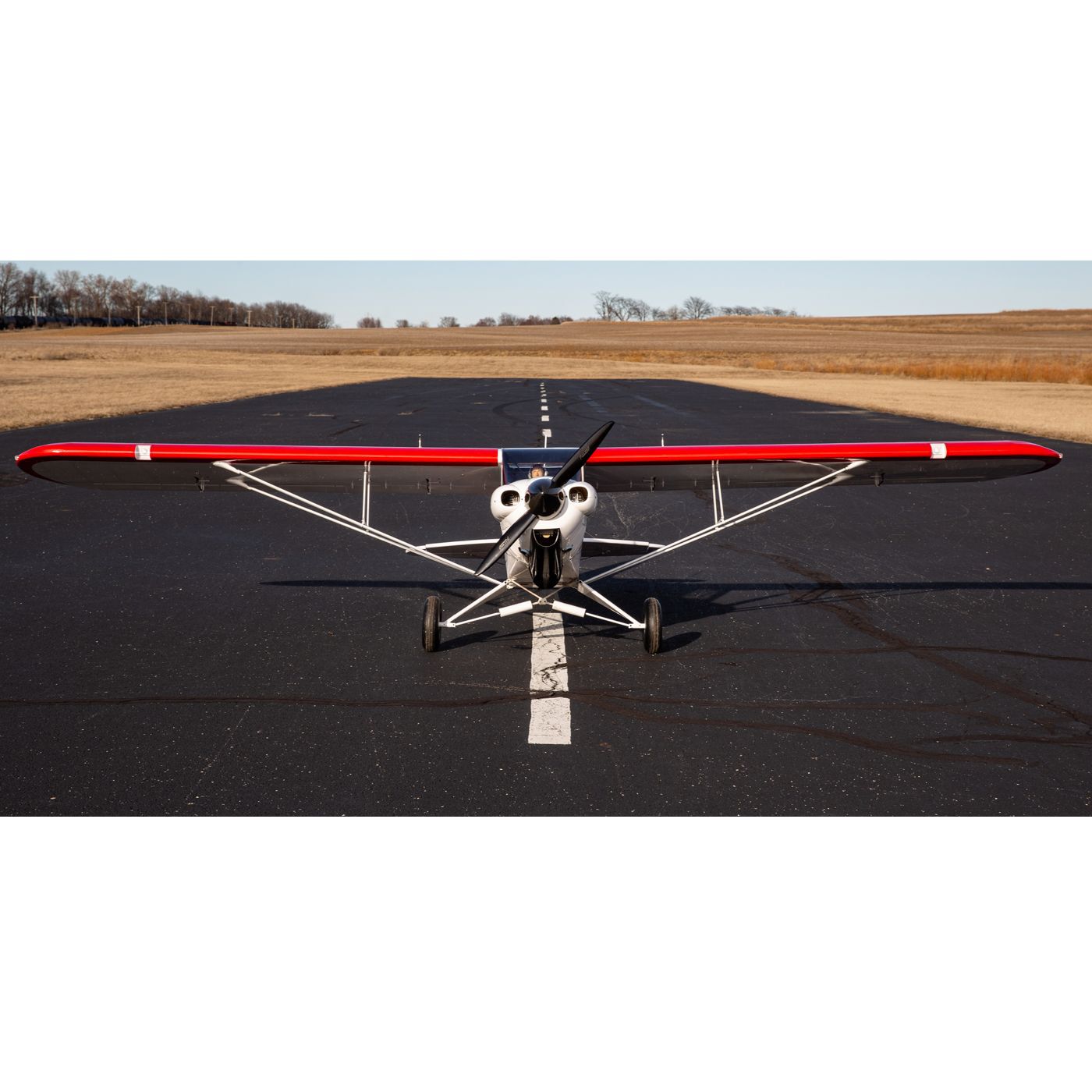 Hangar 9 CubCrafters Cub FX-3 100-200cc 165" w DLE170 170cc
