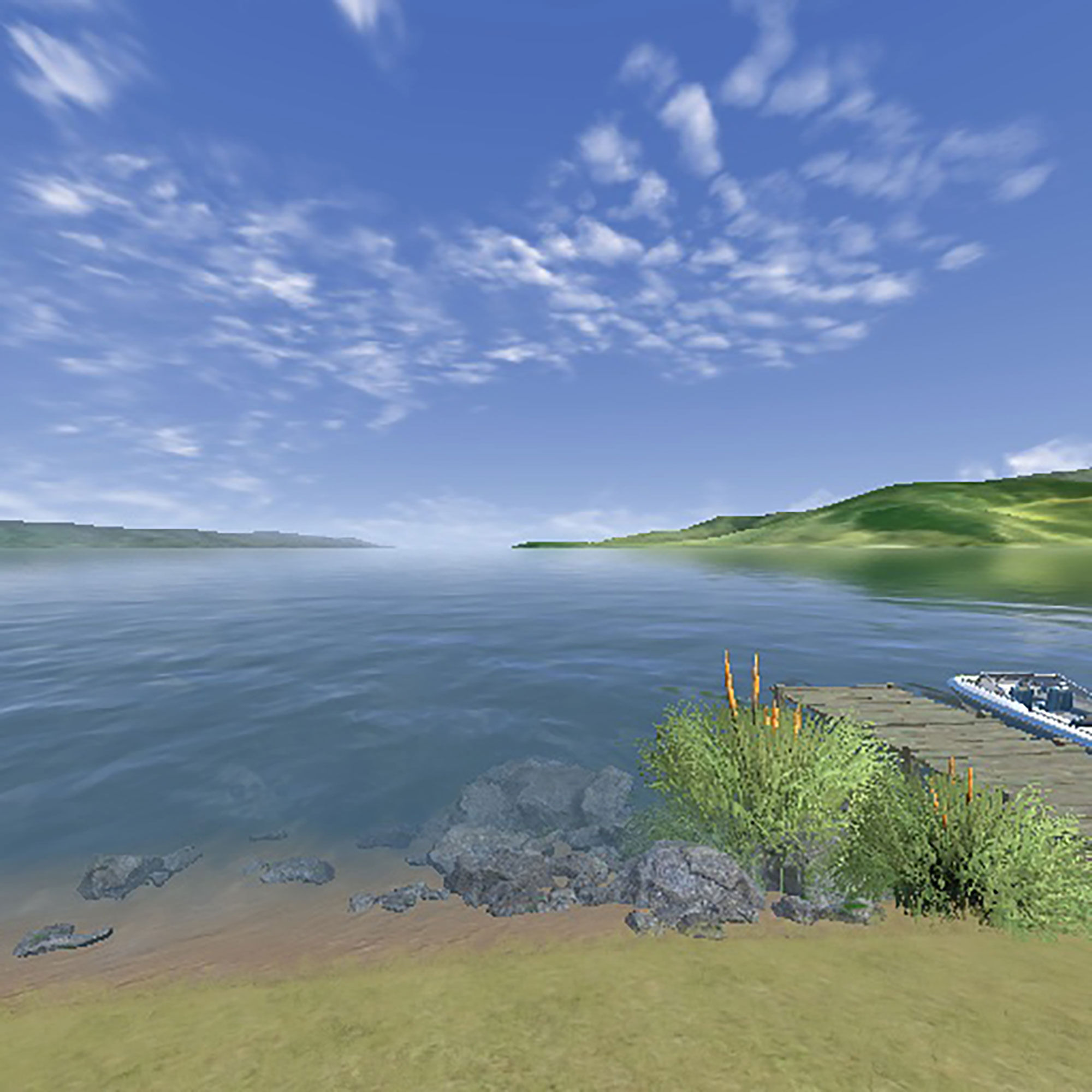 RealFlight RealFlight Trainer Edition RC Flight Simulator with WS2000 Wireless Simulator USB Dongle