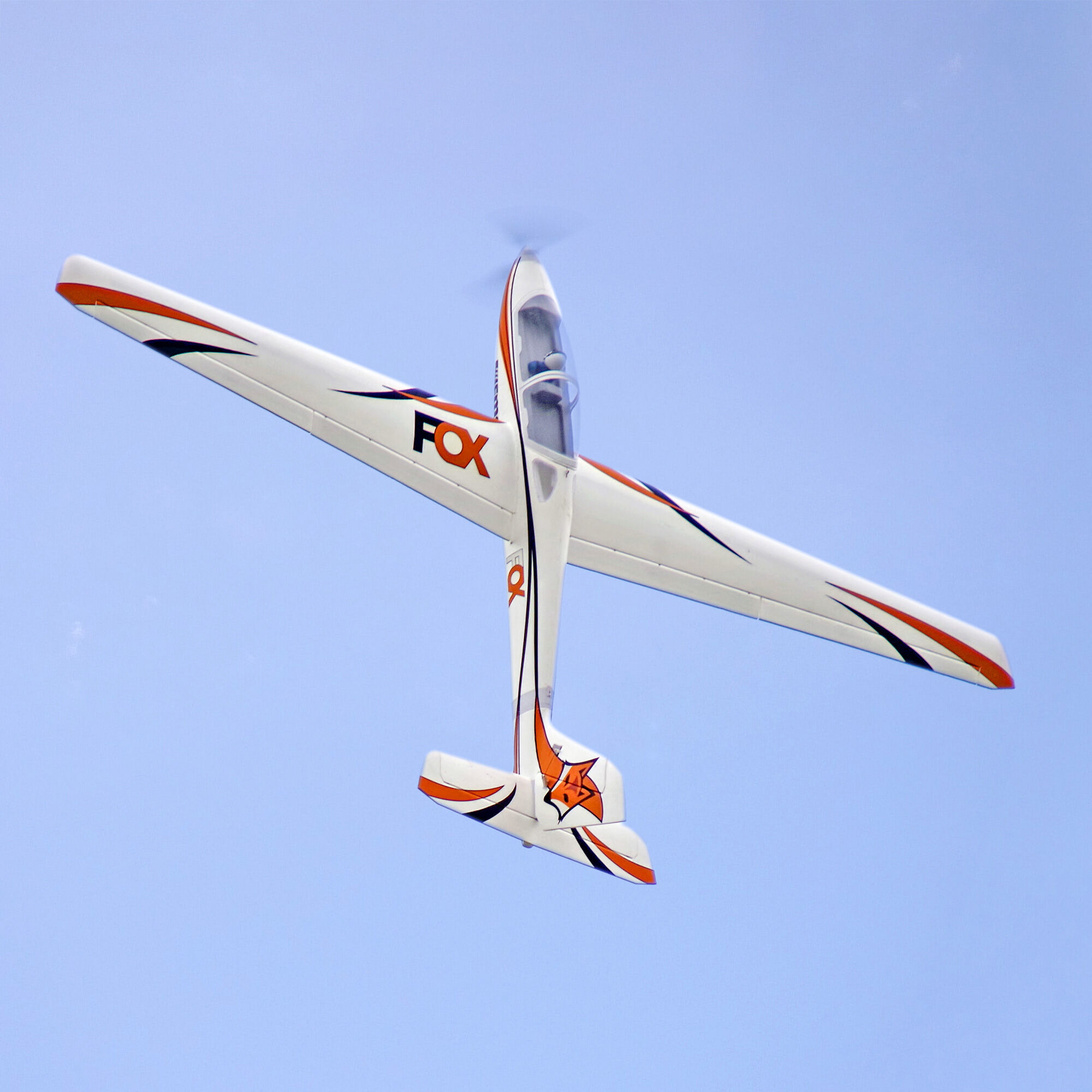 FMS Fox 3000mm Aerobatic EP Glider PNP