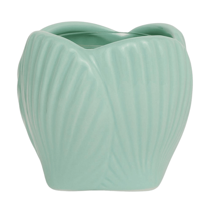 Mint Shell Votive Holder