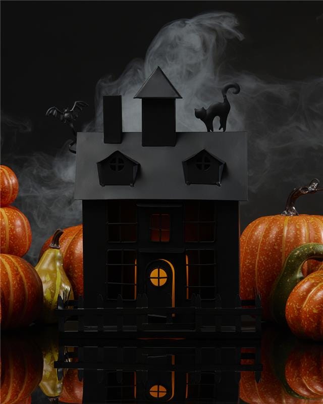 Forever Haunted House Metal LED