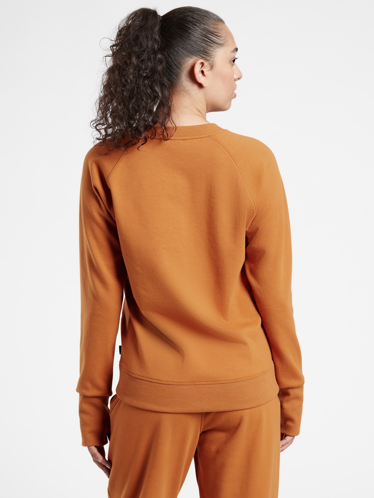 Triumph Crewneck Sweatshirt