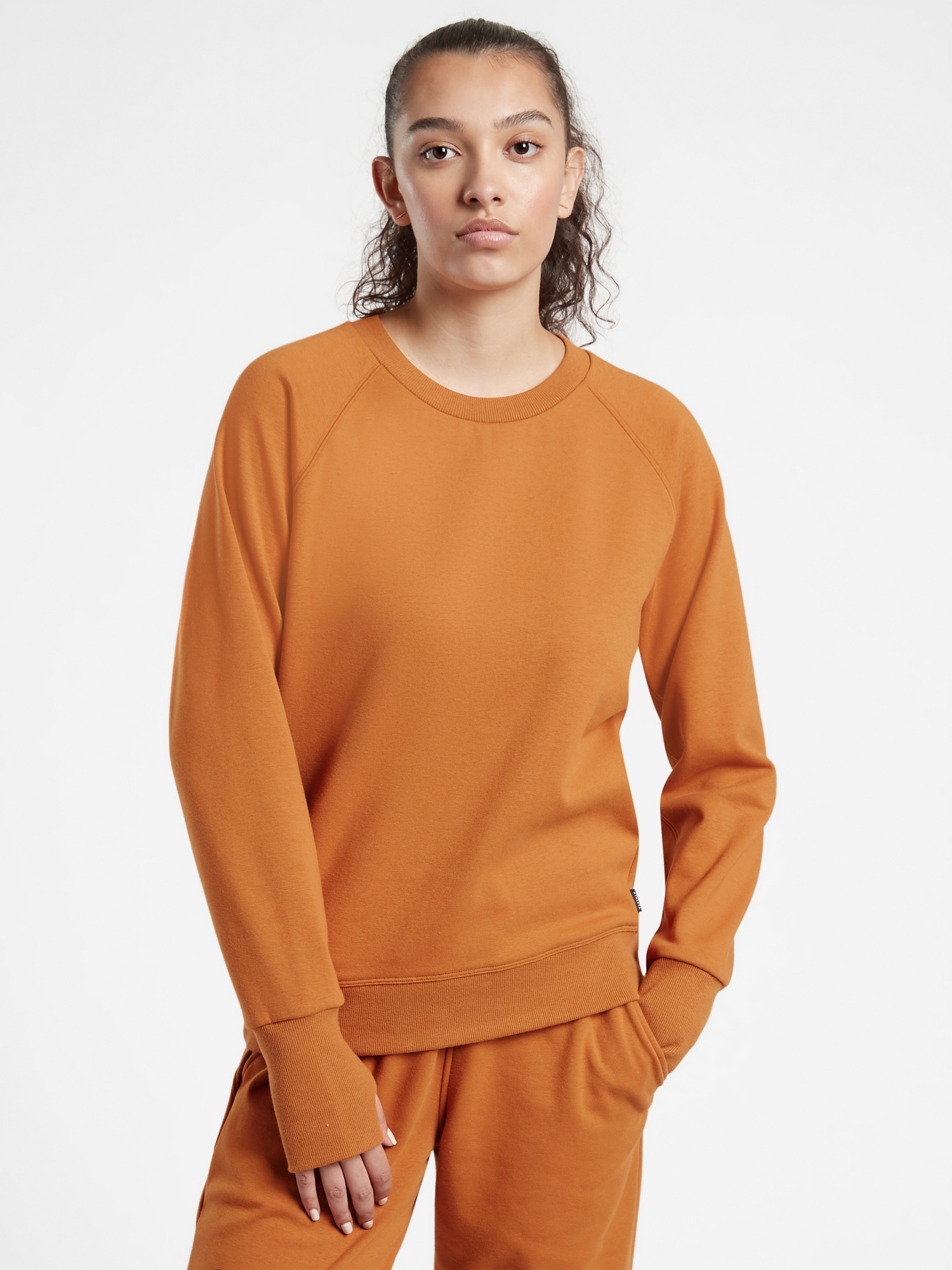 Triumph Crewneck Sweatshirt