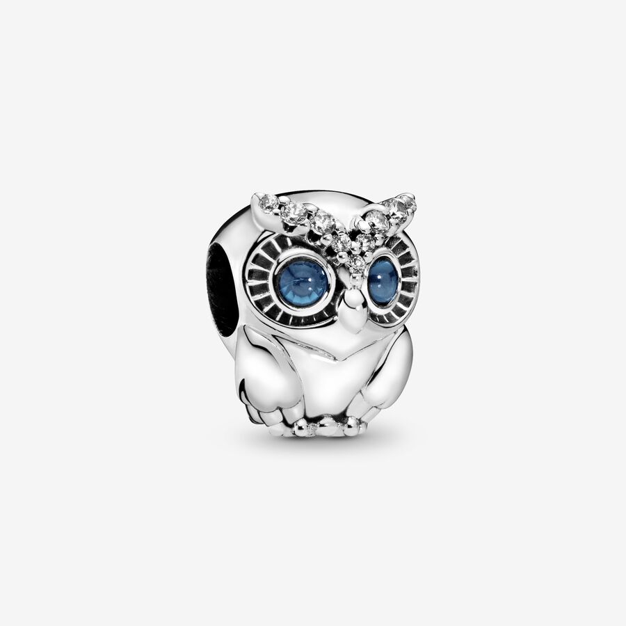 Sparkling Owl Charm