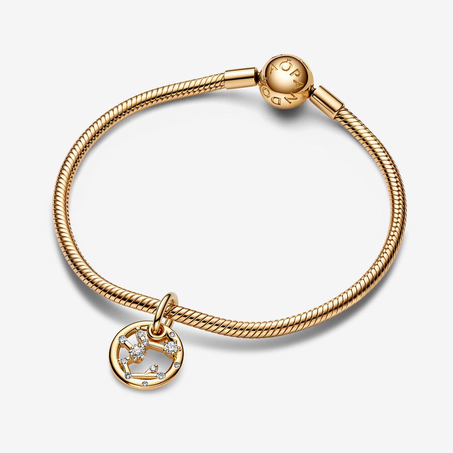 Sagittarius Zodiac Dangle Charm Bracelet Set