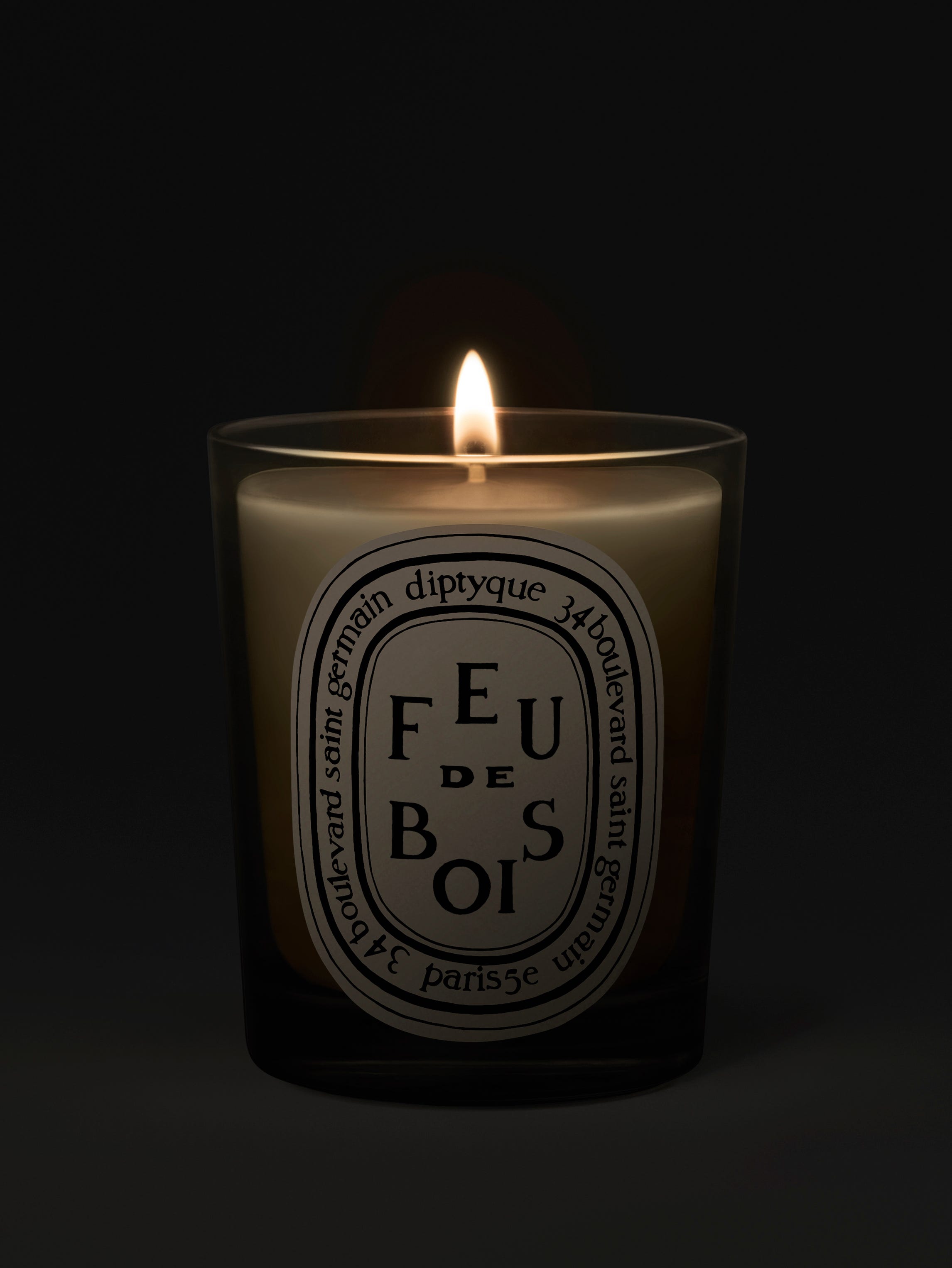 Feu de Bois (Wood Fire)