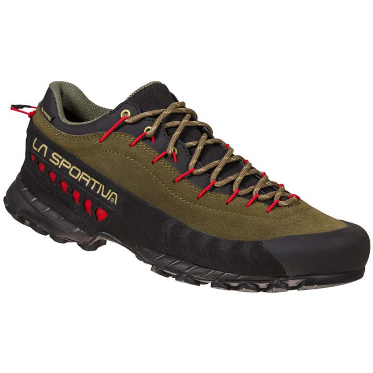 TX4 GTX Mens Approach Shoes Brown