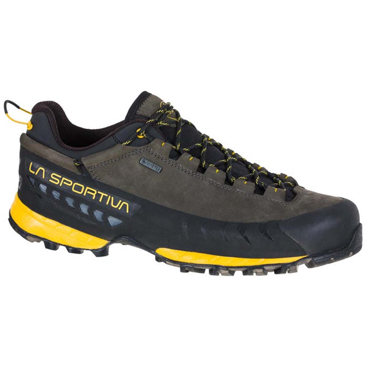 TX5 Low GTX Mens Hiking Shoes Grey