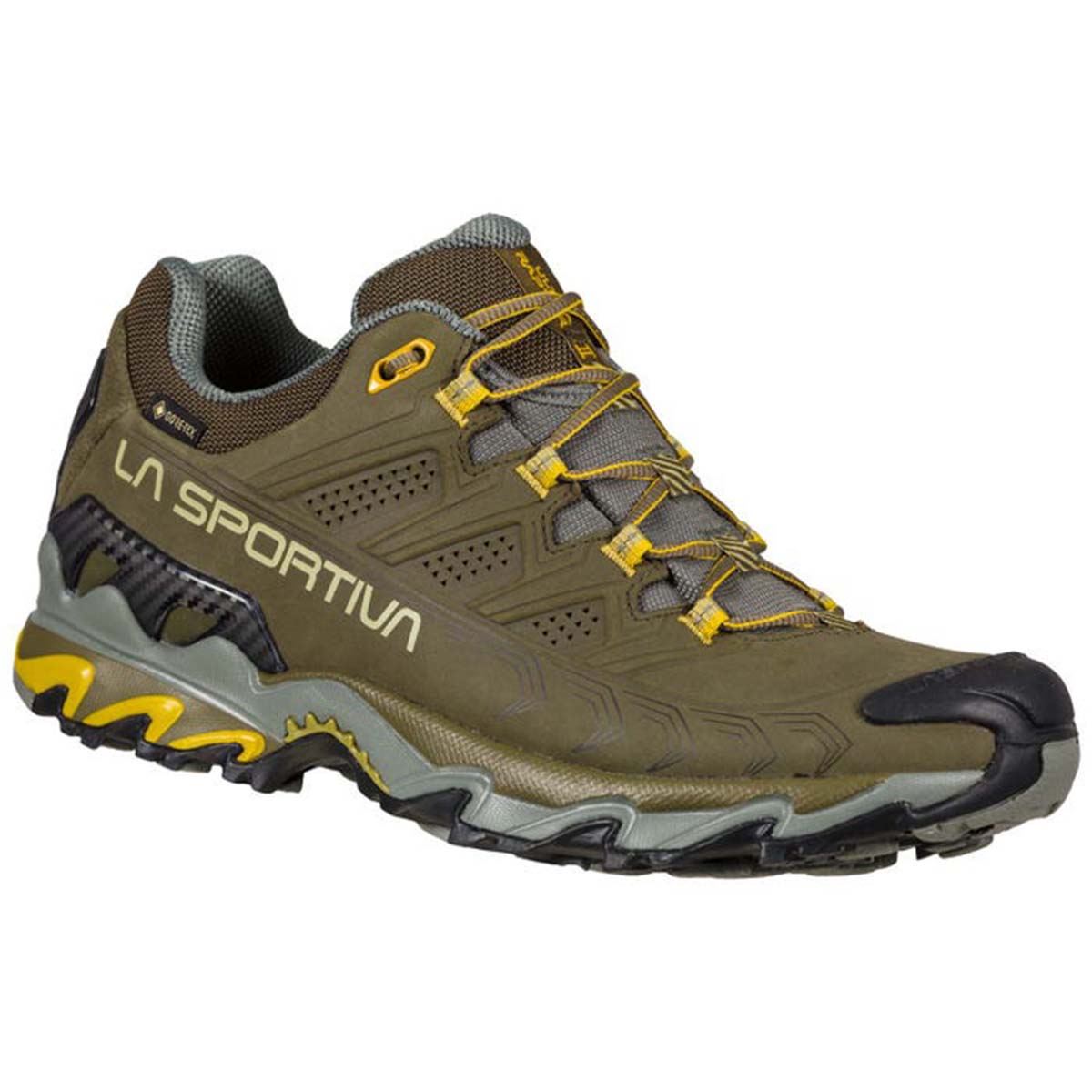 Ultra Raptor II Leather GTX Mens Hiking Shoes Brown