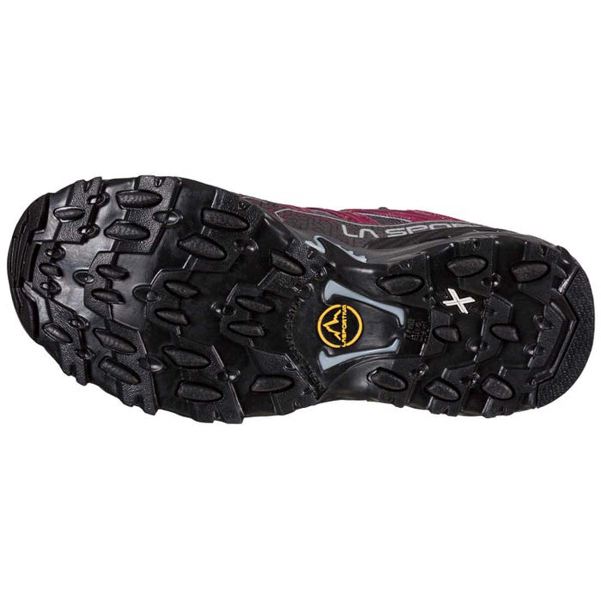 Ultra Raptor II Wide GTX Womens Hiking Shoes Purple