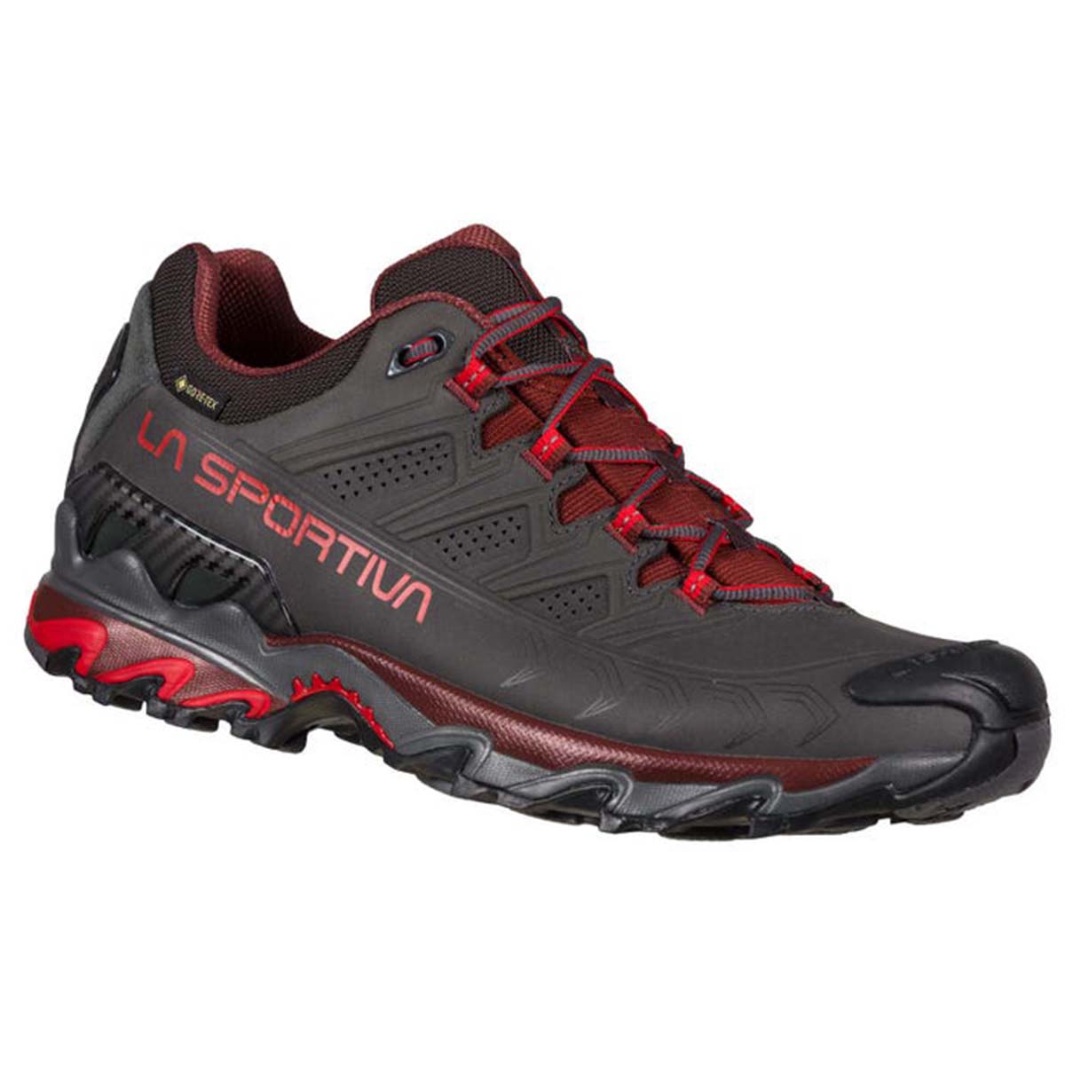 Ultra Raptor II Leather GTX Mens Hiking Shoes Grey